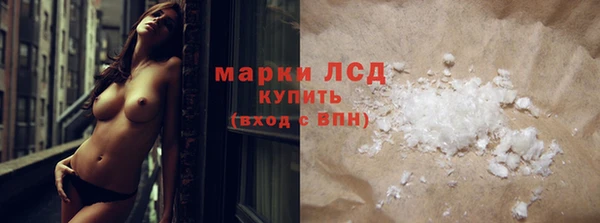 стаф Алексин