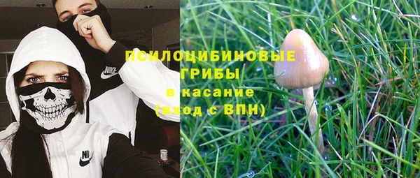 прущие крисы Заволжье