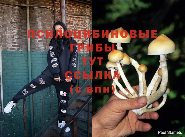 стаф Алексин
