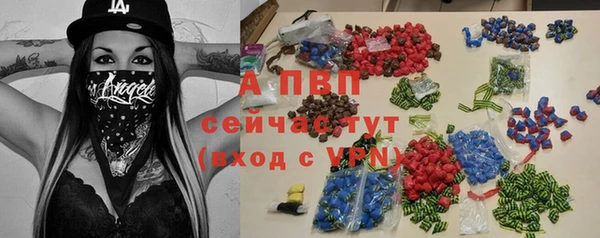 стаф Алексин