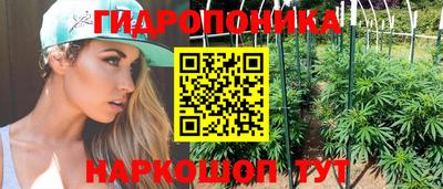 винт Новозыбков